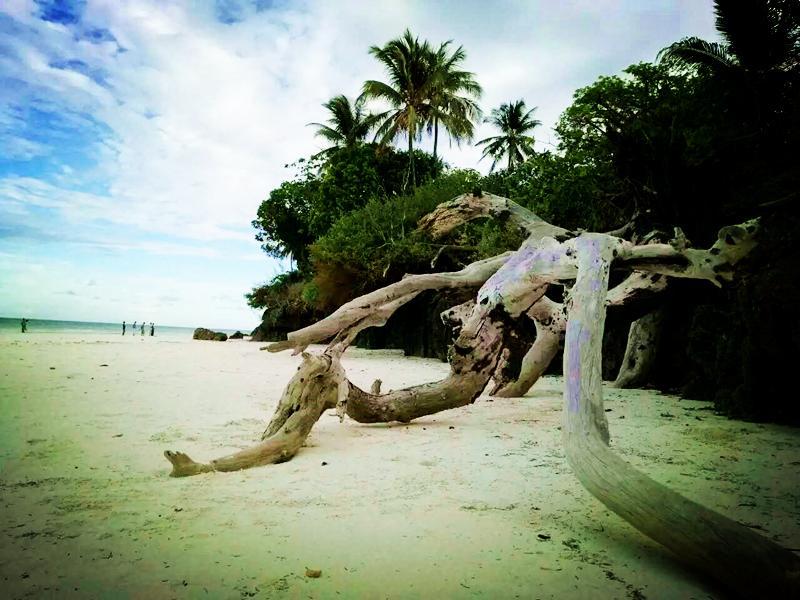 Diani Hostel Диани Бийч Екстериор снимка