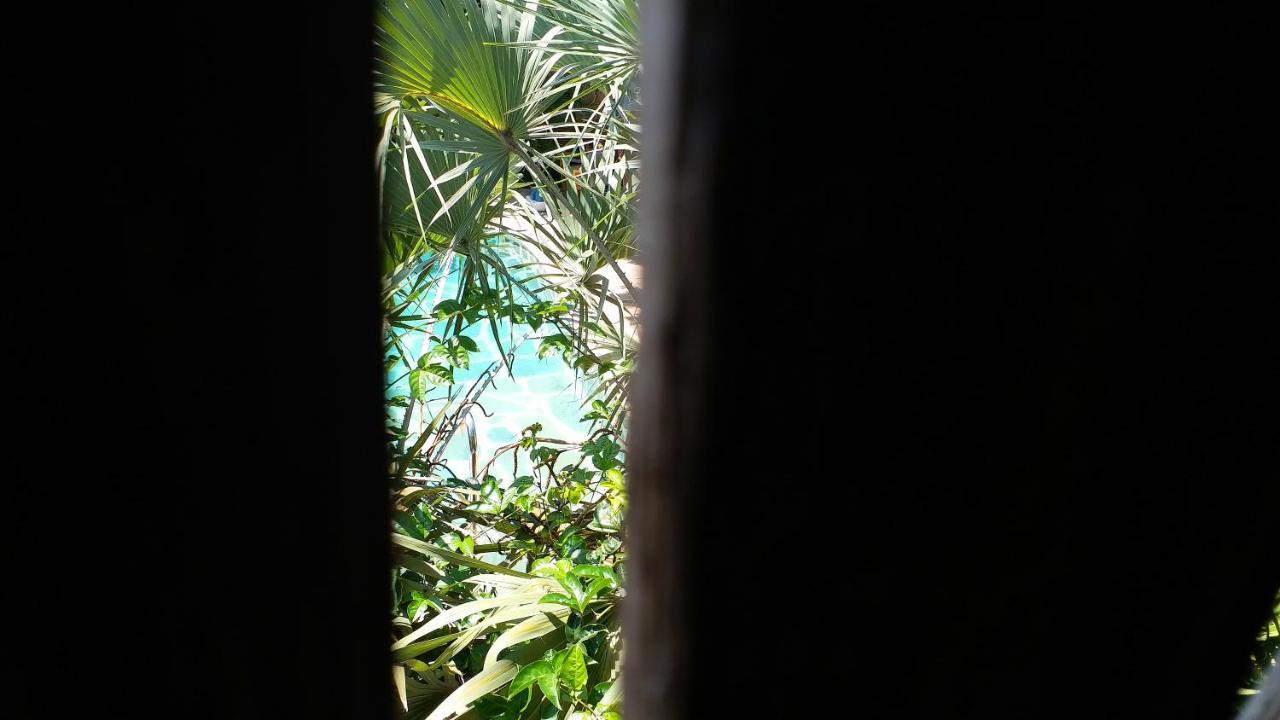 Diani Hostel Диани Бийч Екстериор снимка